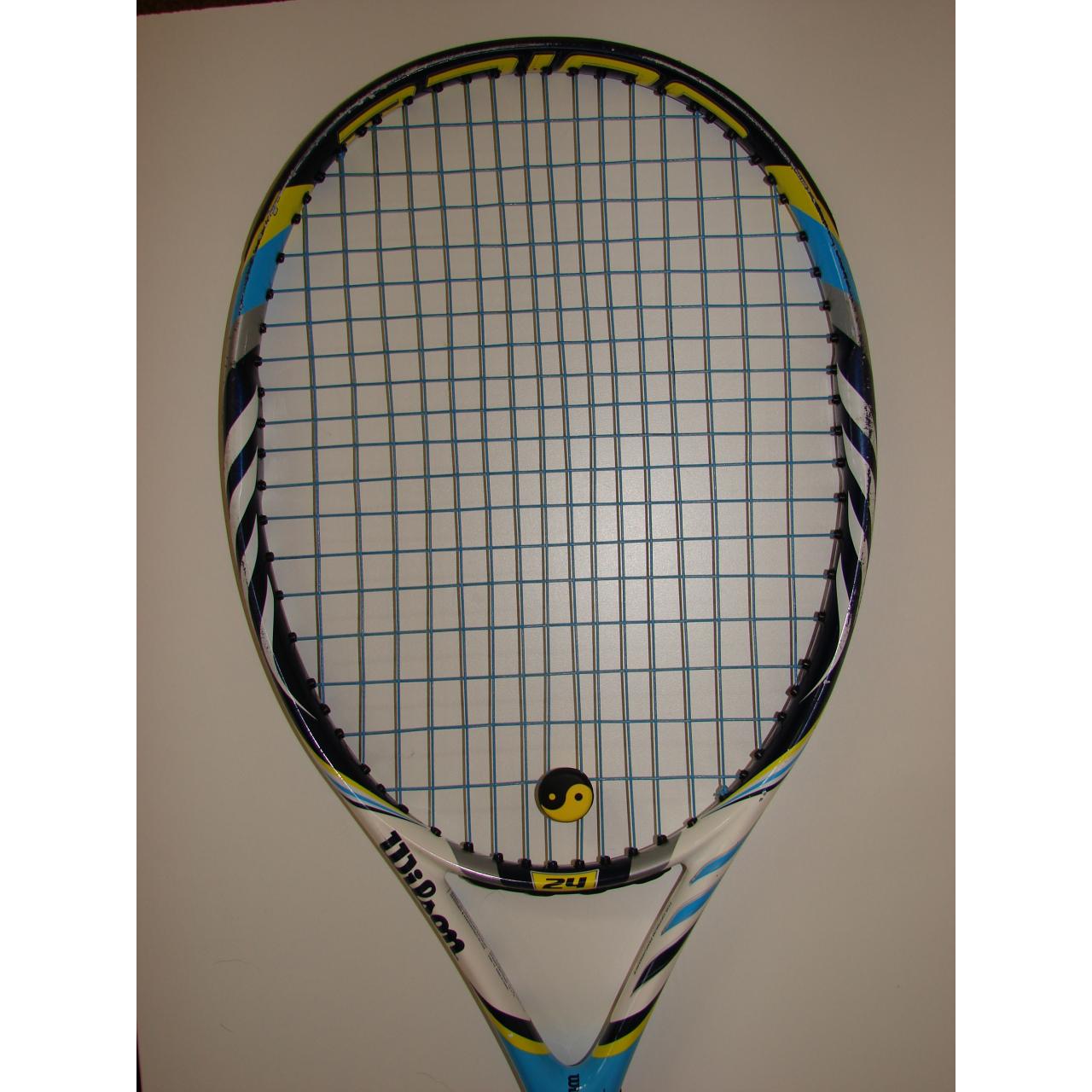  Wilson juice 24